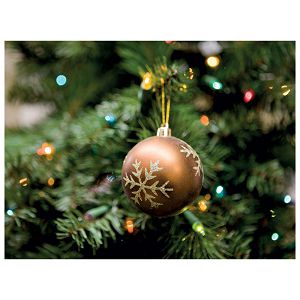 Vješalice za kuglice/jaja 25 mm pk25 Knorr Prandell 21-2930307 srebrne