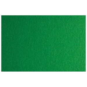 Papir u boji B1 200g Bristol Colore pk10 Connect 41A zeleni
