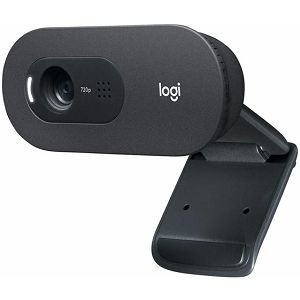 WEB kamera Logitech C505 HD