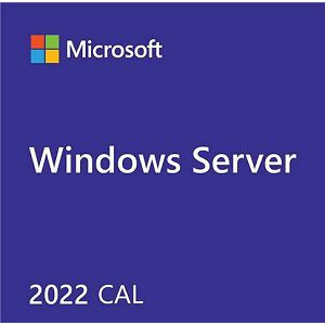 DSP Windows Server CAL 2022 ENG 1 Clt Device, R18-06412