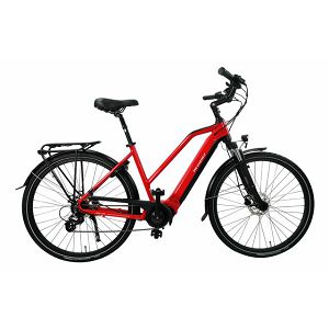 MS ENERGY eBike c500_size S