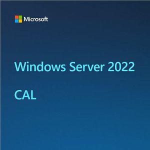 SRV DOD LN OS WIN 2022 Server CAL (5 User)