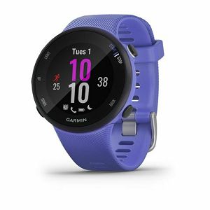 GARMIN Forerunner 45S Iris