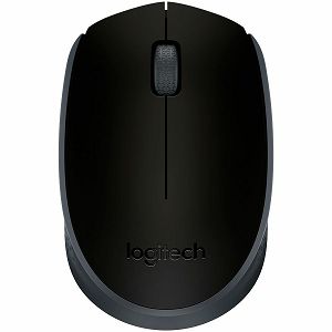 LOGITECH Wireless Mouse M171 - EMEA - BLACK