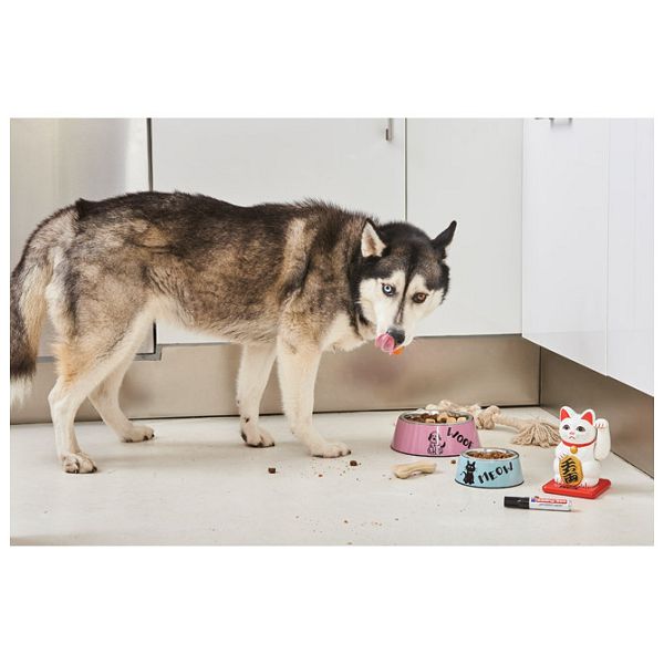 Marker permanentni 2-7 mm Edding 500 crni