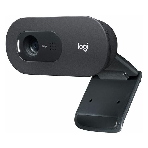 WEB kamera Logitech C505 HD