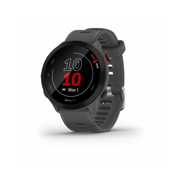 Garmin Forerunner 55 Monterra Grey