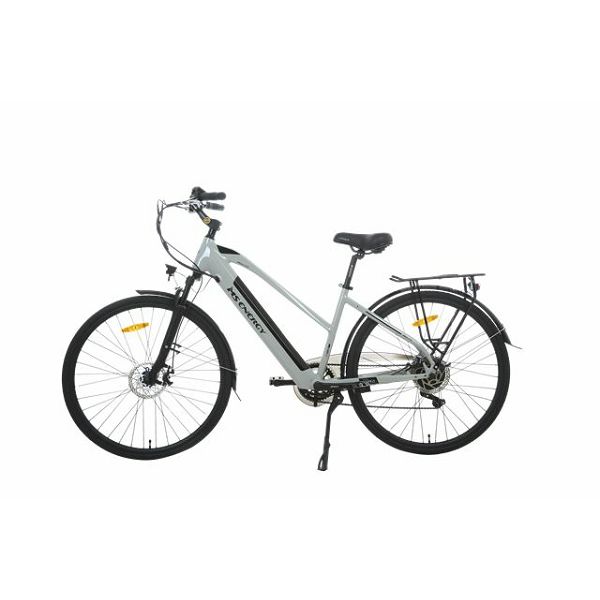 MS ENERGY eBike c12